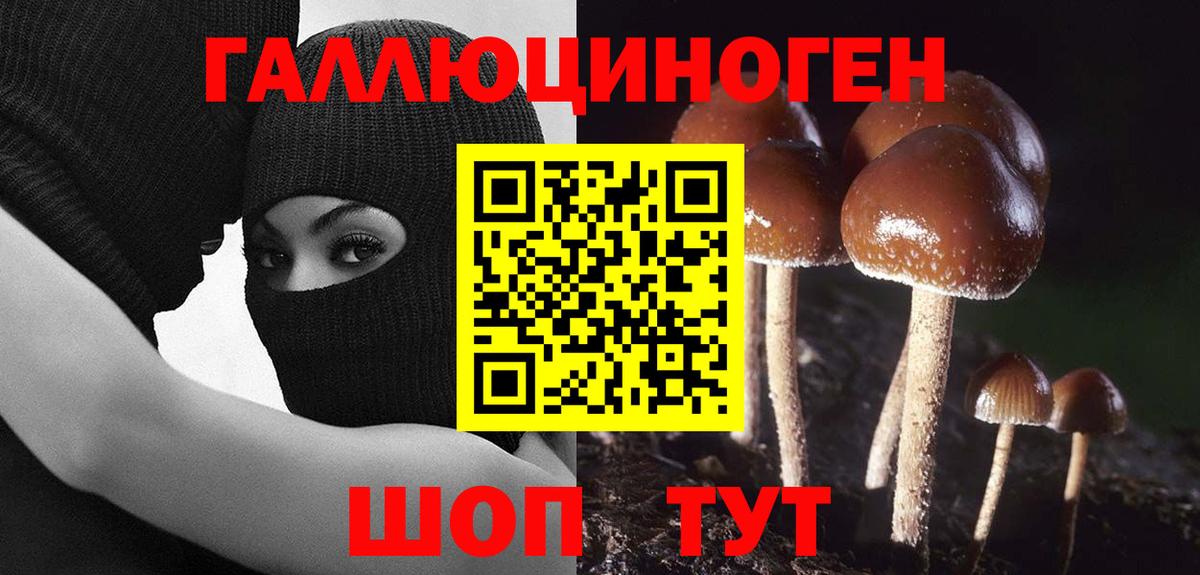Усть-Илимск  Галлюциногенные грибы прущие грибы  Вход с VPN  Галлюциногенные грибы Psilocybine cubensis 