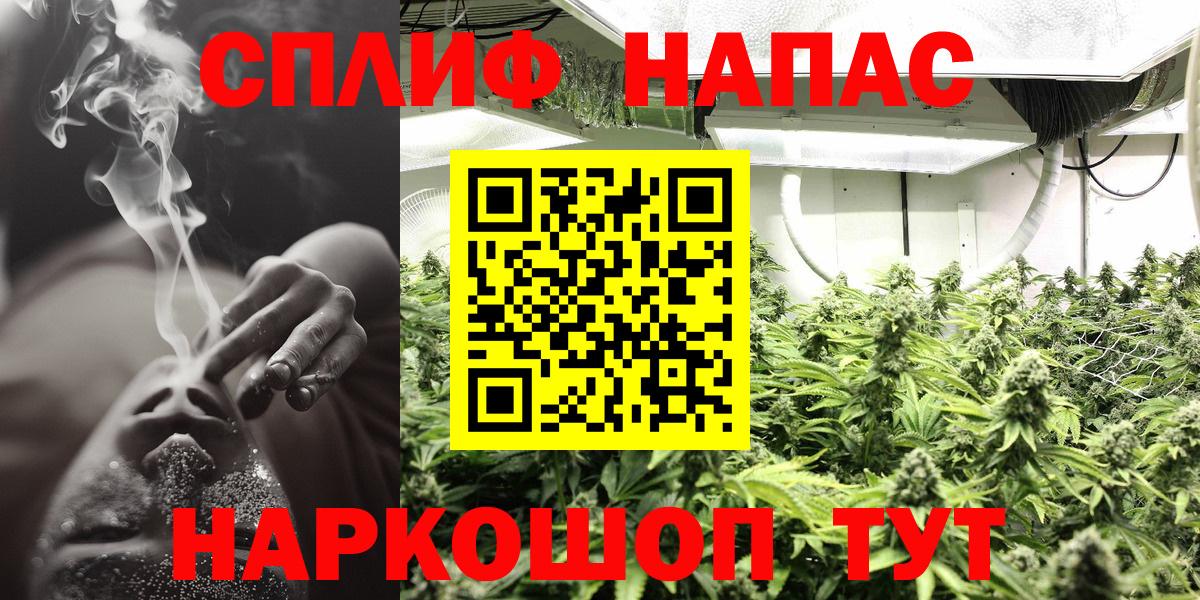 Бошки марихуана конопля Усть-Илимск
